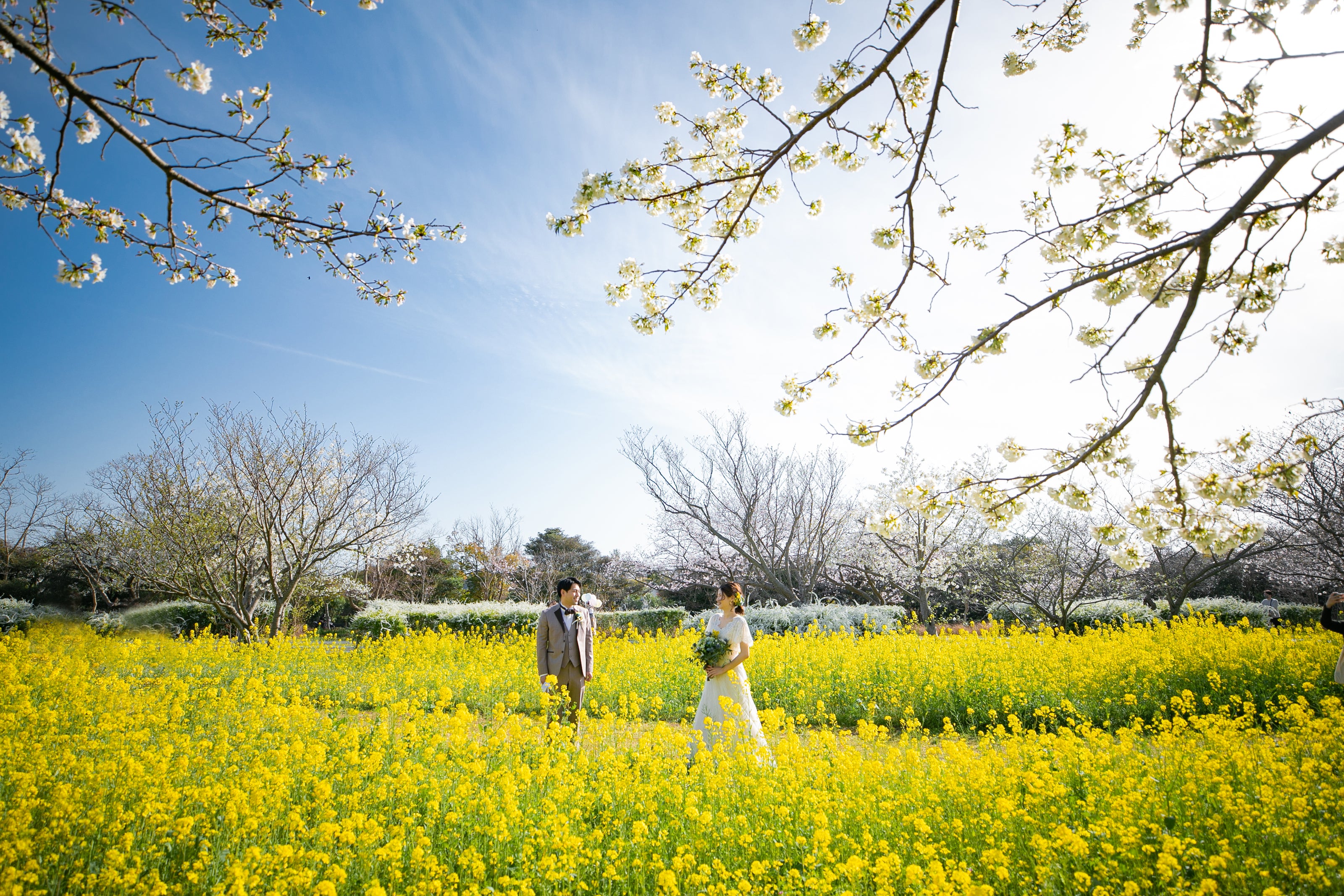 福岡 福岡婚禮攝影套餐