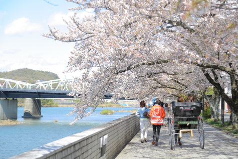 名古屋/犬山城 名古屋婚紗攝影套餐