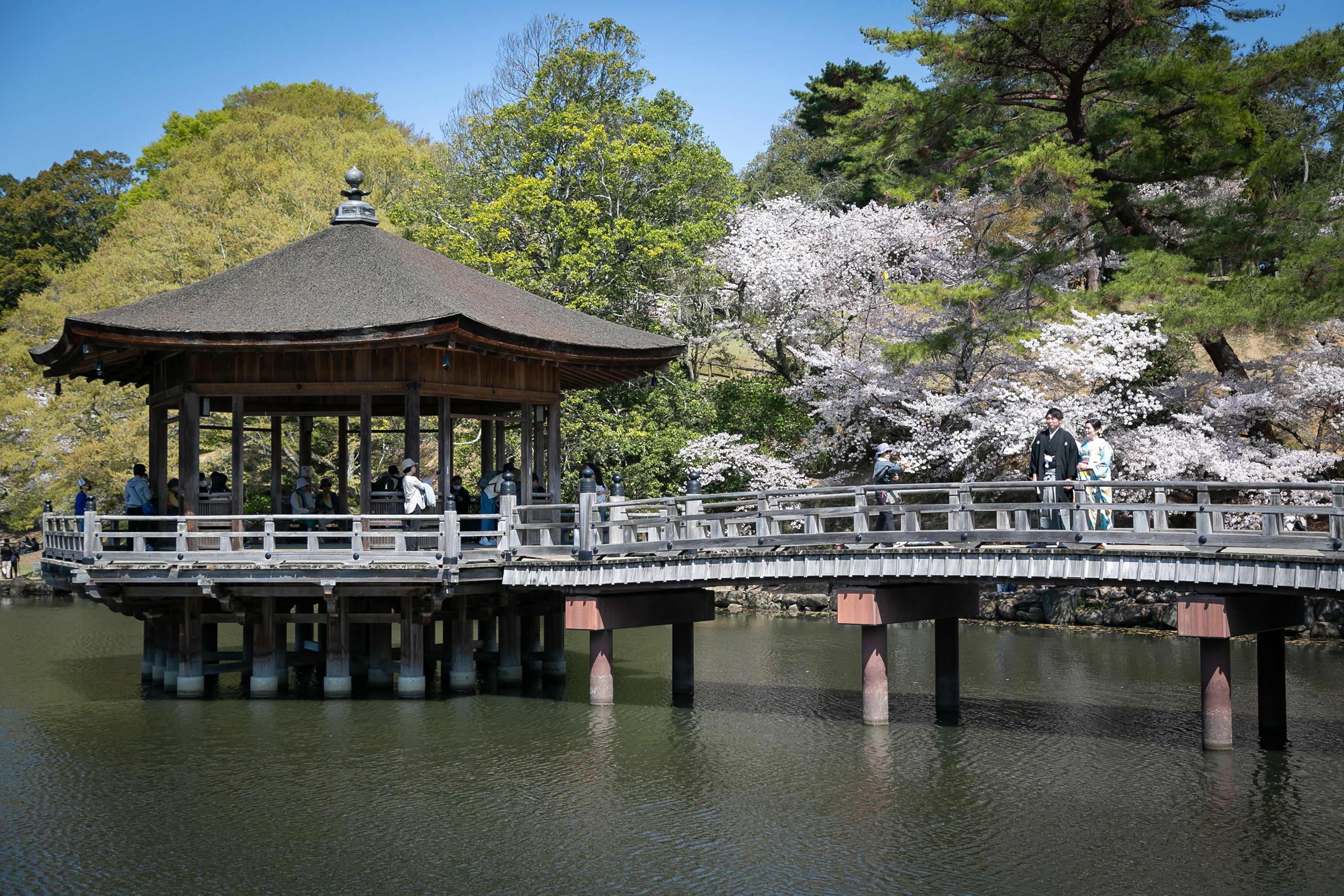 奈良/奈良公園 奈良婚禮攝影套餐