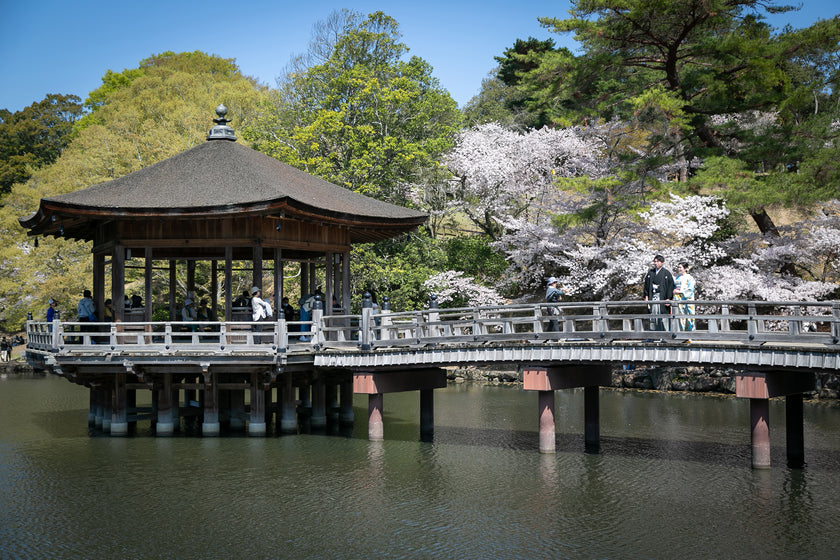奈良/奈良公園 奈良婚禮攝影套餐