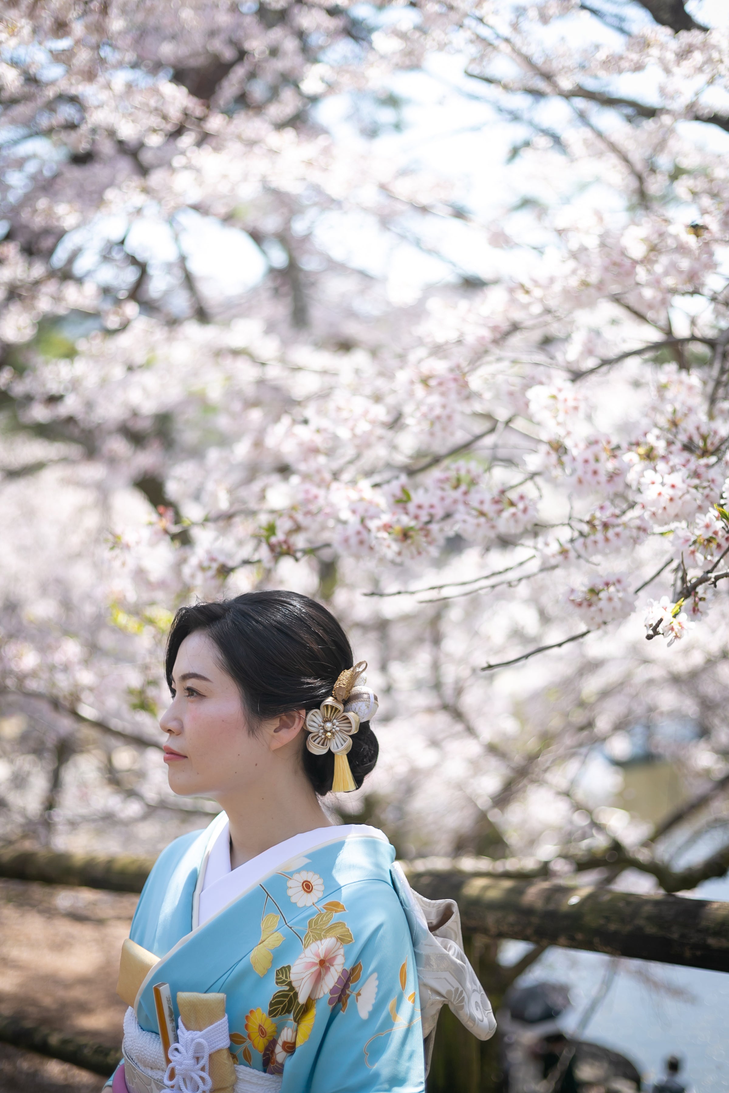 奈良/奈良公園 Pre-Wedding Photo Package in Nara