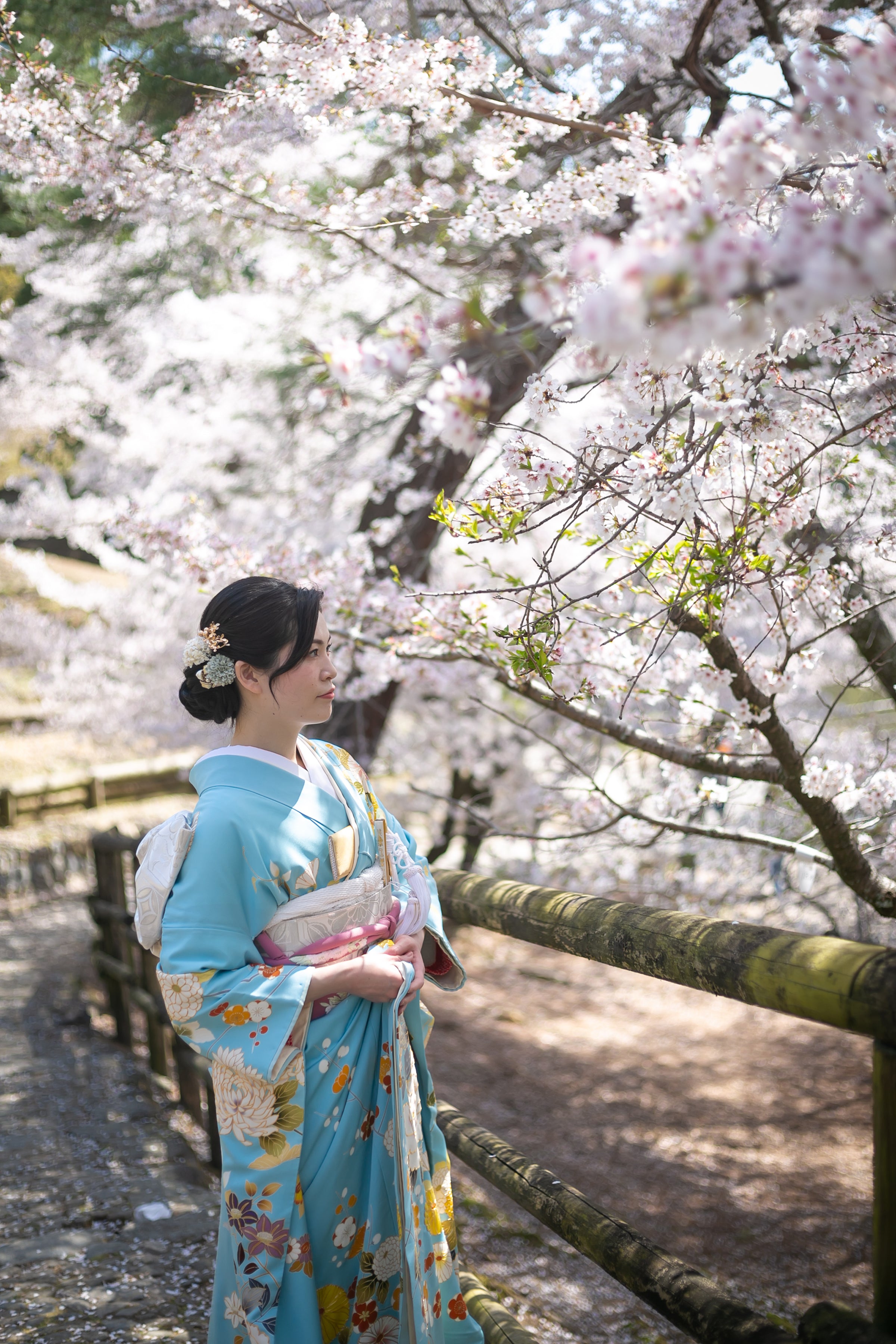 奈良/奈良公園 Pre-Wedding Photo Package in Nara