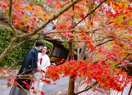 婚紗禮服和日本和服拍攝