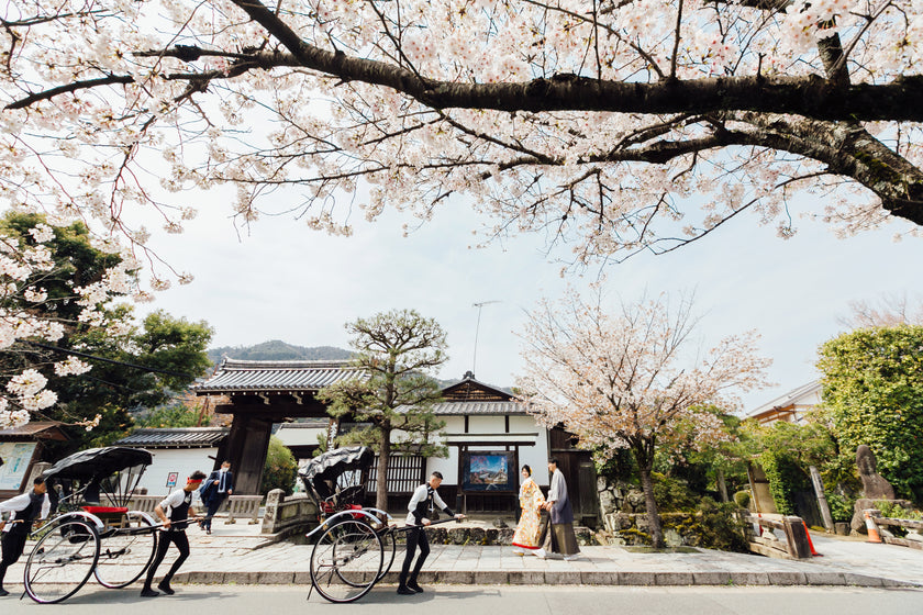 京都/嵐山 Pre-Wedding Photo Package in Kyoto