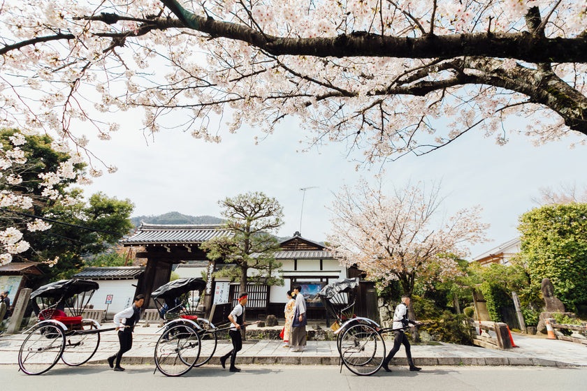 京都/嵐山 Pre-Wedding Photo Package in Kyoto