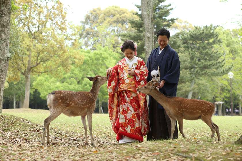奈良 Pre-Wedding Photo Package in Nara