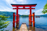 Marriage Proposal in Hakone Shrine