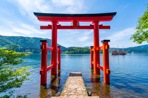 Marriage Proposal in Hakone Shrine