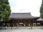 Marriage Proposal in Meiji Shrine, Tokyo