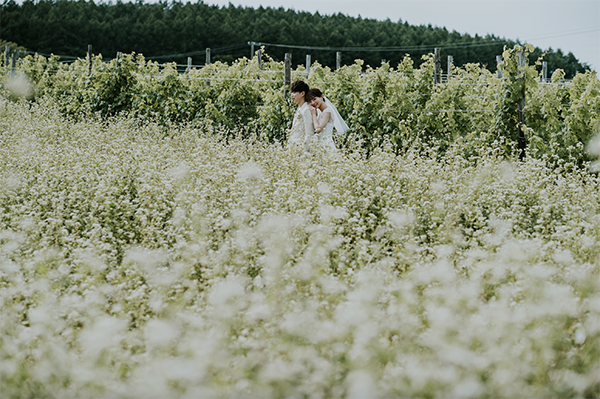北海道 Pre-Wedding Photo Package in Hokkaido