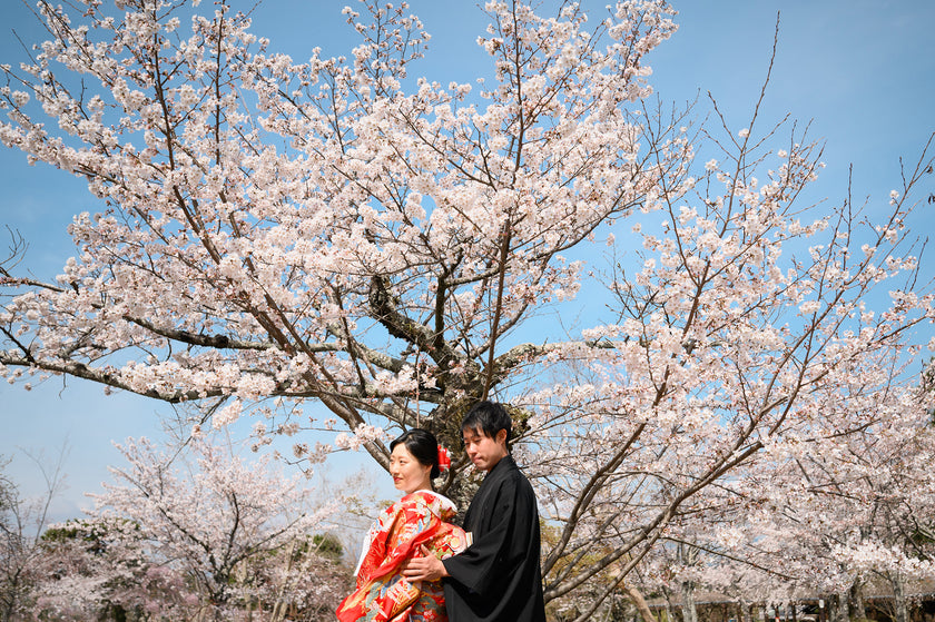 京都/東山 Pre-Wedding Photo Package in Kyoto