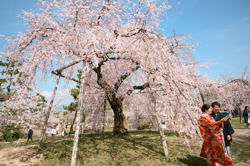 京都/東山 Pre-Wedding Photo Package in Kyoto