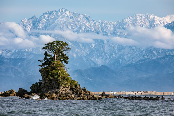 Wedding Photography in Toyama