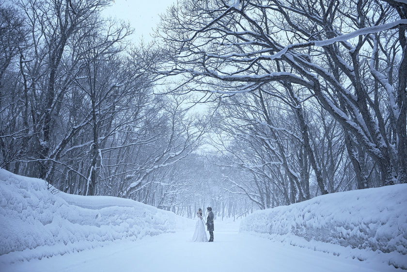 Marriage Proposal in Aomori