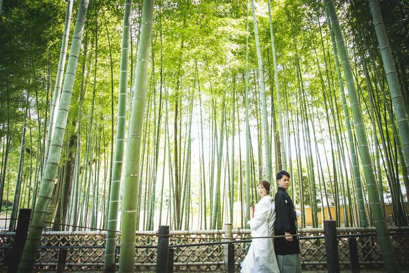 奈良 Pre-Wedding Photo Package in Nara
