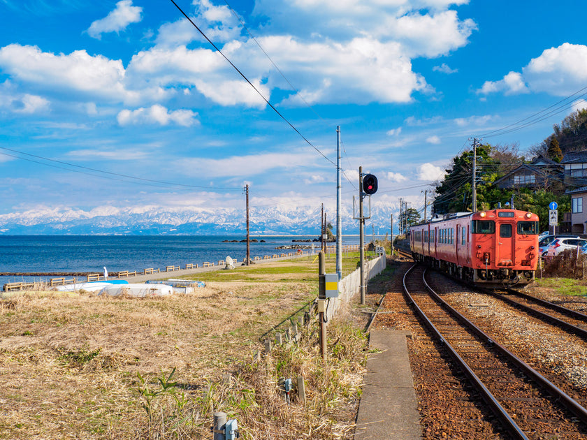 Wedding Photography in Toyama