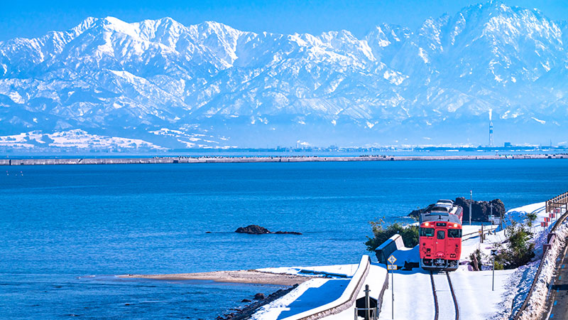 Wedding Photography in Toyama