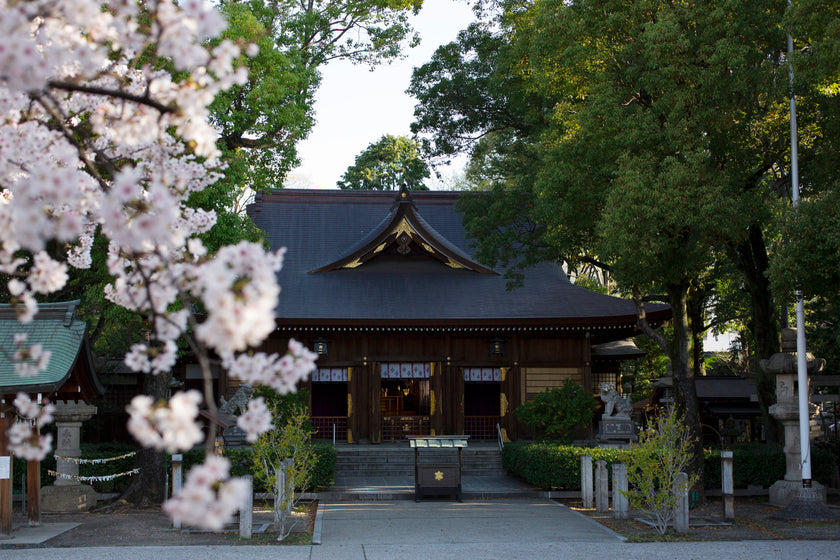 名古屋 Pre-Wedding Photo Package in Nagoya