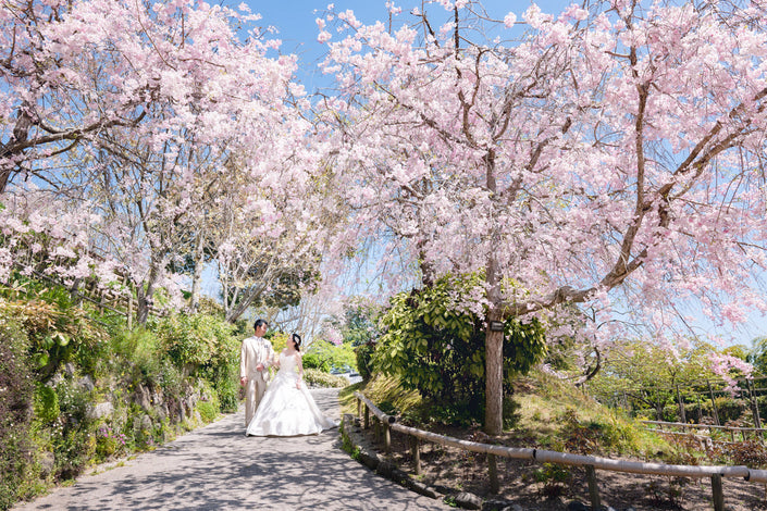山口 Pre-Wedding Photo Package