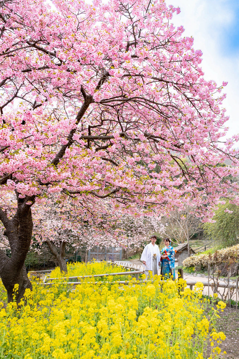 山口 Pre-Wedding Photo Package
