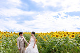 山口 Pre-Wedding Photo Package