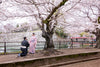 Marriage Proposal in Japan