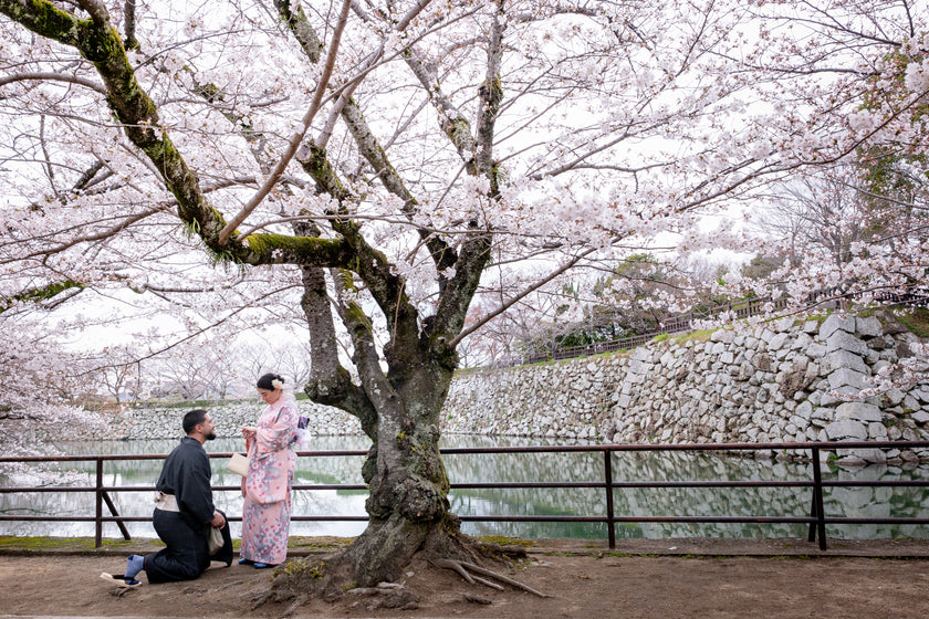 Marriage Proposal in Japan