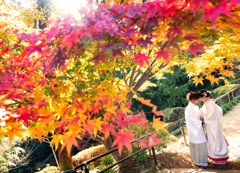 山口 Pre-Wedding Photo Package