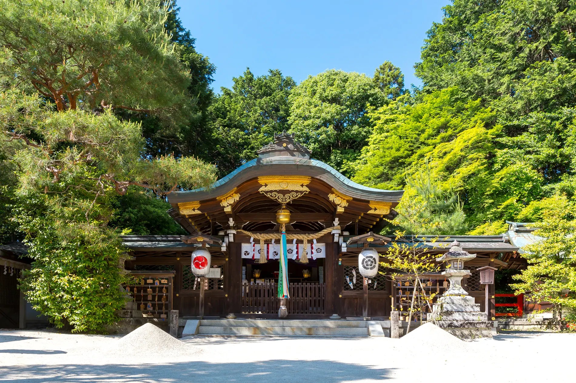 Wedding ceremony at Hachidai Shrine and proposal with cherry blossoms at Himeji Castle